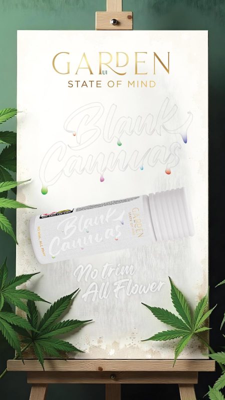 WhatsApp Image 2025-01-08 at 12.43.04_c2669e0b